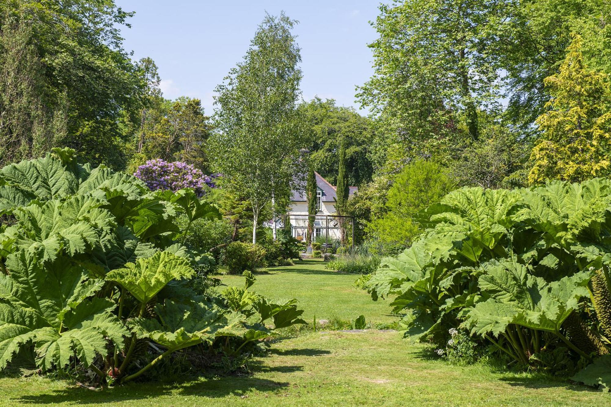 The Cors Country House Villa Laugharne Exterior foto